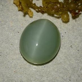 Actinolite Cat's Eye Gemstone in 13.3 x 11.1 mm Size for Sale, Actinolite Cat's Eye Stone in Green Color