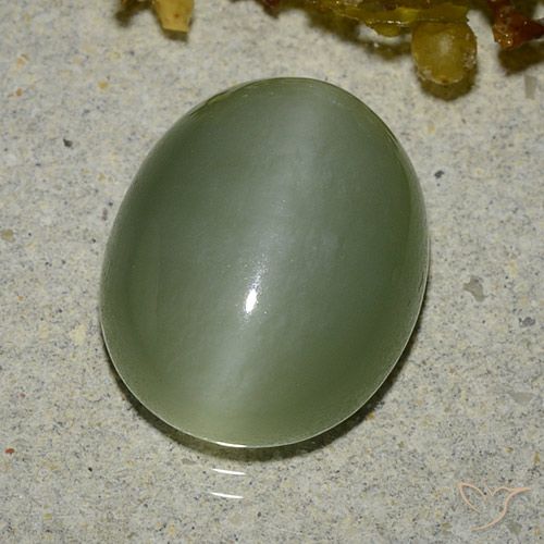 6.83 ct Oval Actinolite Cat's Eye, 13.6 x 11.1 mm From the United States, Photo A