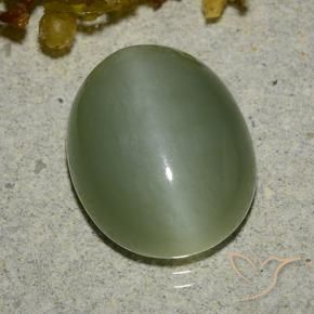 6.83 ct Green Actinolite Cat's Eye Stone, Natural Actinolite Cat's Eye in Oval Cabochon Shape for Sale