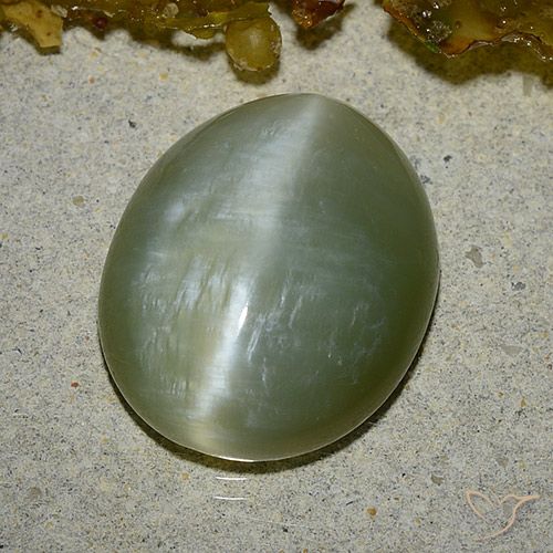 Occhio di gatto ovale in actinolite da 8,6 ct, 16,2 x 13,4 mm dagli Stati Uniti, Photo A