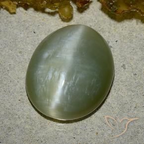 Actinolite Cat's Eye Gemstone in 16.2 x 13.4 mm Size for Sale, Actinolite Cat's Eye Stone in Medium Green Color