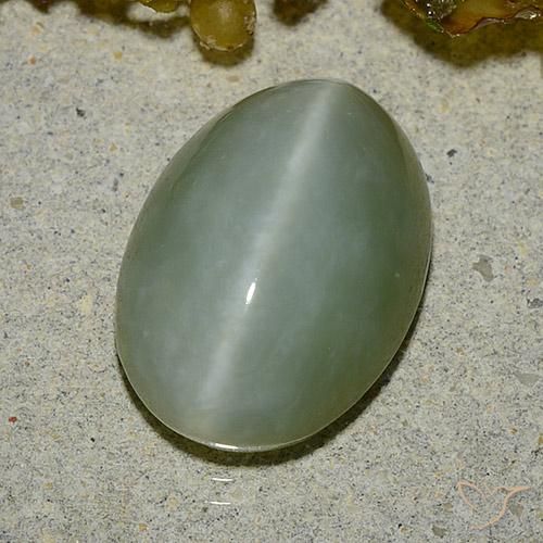 Actinolite œil de chat Vert oval cabochon 14,1 x 10,2mm des Etats-Unis, poids de 5,92 ct, pierre gemme naturelle Non traité de pureté Translucide, 1 pièce Actinolite œil de chat, couleur : Vert mousse léger, dureté de Mohs de 5.5 à 6, Photo A