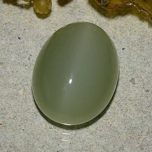 Actinolite œil de chat Vert Ovale 13,5 x 10,4mm des Etats-Unis, poids de 6,92 ct, pierre gemme naturelle Non traité de pureté Translucide, 1 pièce Actinolite œil de chat oval cabochon, couleur : Vert militaire, dureté de Mohs de 5.5 à 6, Photo A