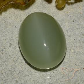 6.92 ct Green Actinolite Cat's Eye Stone, Natural Actinolite Cat's Eye in Oval Cabochon Shape for Sale