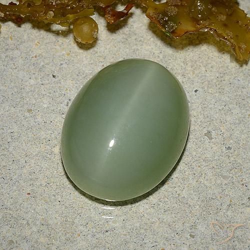 Actinolite œil de chat Vert oval cabochon 13,9 x 11mm des Etats-Unis, poids de 6,46 ct, pierre gemme naturelle Non traité de pureté Translucide, 1 pièce Actinolite œil de chat, couleur : Vert terreux, dureté de Mohs de 5.5 à 6, Photo A