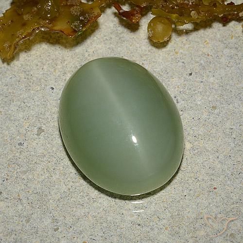 6.46 ct Green Actinolite Cat's Eye Stone, Natural Actinolite Cat's Eye in Oval Cabochon Shape for Sale