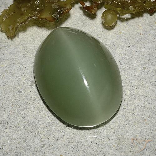 8.04 ct Green Actinolite Cat's Eye Stone, Natural Actinolite Cat's Eye in Oval Cabochon Shape for Sale
