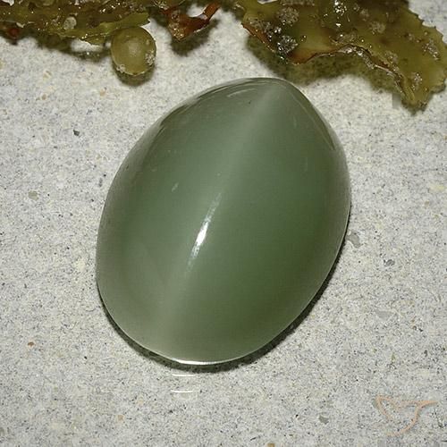 Actinolite Cat's Eye Gemstone in 16 x 12 mm (calibrated) Size for Sale, Actinolite Cat's Eye Stone in Medium-Light Green Color