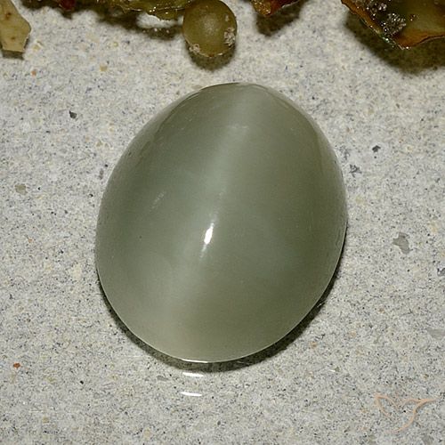 Actinolite œil de chat Vert Ovale 12,8 x 10,4mm des Etats-Unis, poids de 5,33 ct, pierre gemme naturelle Non traité de pureté Translucide, 1 pièce Actinolite œil de chat oval cabochon, couleur : Vert brunâtre, dureté de Mohs de 5.5 à 6, Photo A