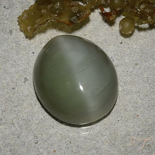 6,78 ct ovaler Actinolith Katzenauge aus den USA, Größe: 14,2 x 12mm, Reinheit: Translucent, Garantiert echter Edelstein, 1 Stück Actinolith Katzenauge in Mittelgrün Farbe, Mohs-Härte von 5,5 - 6, Photo A