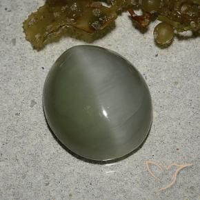 Actinolite Cat's Eye Gemstone in 14 x 12 mm (calibrated) Size for Sale, Actinolite Cat's Eye Stone in Medium Green Color