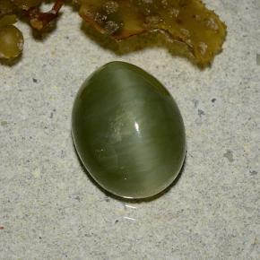 Warm Green Актинолит Кошачий Глаз Камень - 3.3ct Овал Кабошон (ID: 485895)