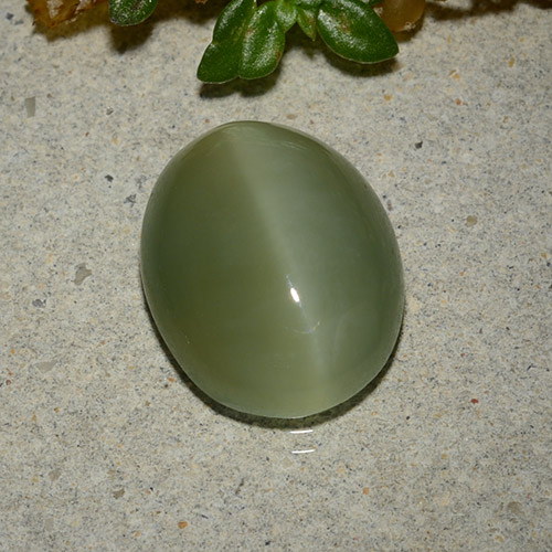 13.3 x 10.7mm Oval Cabochon Green Actinolite Cat's Eye from United States, Weight of 5.33ct, Natural untreated Gemstone in Translucent Clarity, 1pc Actinolite Cat's Eye - Color: Army Green, Mohs Hardness of 5.5 - 6, Photo A