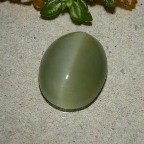 5.33 ct Green Actinolite Cat's Eye Stone, Natural Actinolite Cat's Eye in Oval Cabochon Shape for Sale