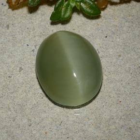 Actinolite Cat's Eye Gemstone in 13 x 11 mm (calibrated) Size for Sale, Actinolite Cat's Eye Stone in Army Green Color