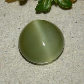 3.87 ct Green Actinolite Cat's Eye Gemstone, Actinolite Cat's Eye Gem in Round Cabochon Shape for Sale.