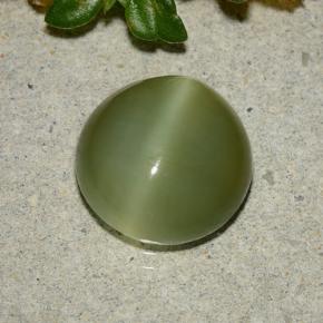 3.87 ct Green Actinolite Cat's Eye Stone, Natural Actinolite Cat's Eye in Round Cabochon Shape for Sale