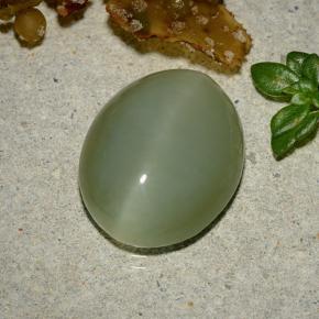 5.92 ct Green Actinolite Cat's Eye Stone, Natural Actinolite Cat's Eye in Oval Cabochon Shape for Sale
