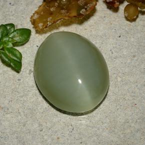 Actinolite Cat's Eye Gemstone in 13.9 x 11.3 mm Size for Sale, Actinolite Cat's Eye Stone in Warm Green Color