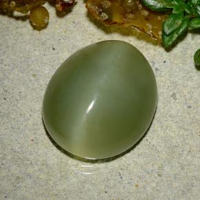 9.08 ct Green Actinolite Cat's Eye Stone, Natural Actinolite Cat's Eye in Oval Cabochon Shape for Sale