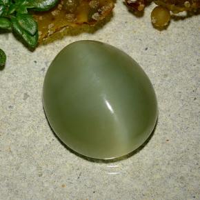 Actinolite Cat's Eye Gemstone in 14.7 x 12.7 mm Size for Sale, Actinolite Cat's Eye Stone in Green Color