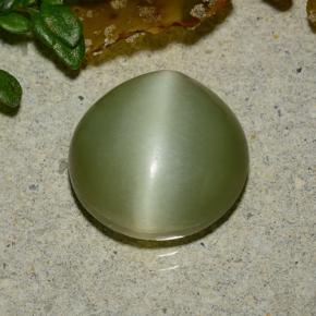 Yellowish Green Actinolite Cat's Eye Gem - 4.1ct Round Cabochon (ID: 485913)