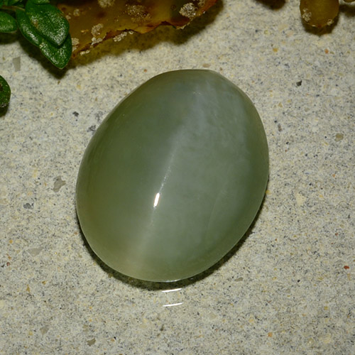 Medium Green Actinolite Cat's Eye Gem - 4.9ct Oval Cabochon (ID: 485914)
