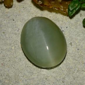 4.86 ct Green Actinolite Cat's Eye Stone, Natural Actinolite Cat's Eye in Oval Cabochon Shape for Sale