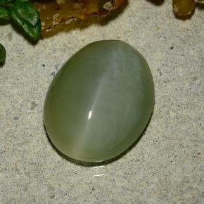 Actinolite Cat's Eye Gemstone in 13.2 x 10.6 mm Size for Sale, Actinolite Cat's Eye Stone in Medium Green Color