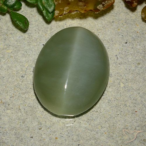 Actinolite œil de chat Vert oval cabochon 6,48 ct des Etats-Unis, dimension 14,8 x 11,7mm, pierre gemme naturelle Non traité, pureté Translucide, 1 pièce Actinolite œil de chat de couleur Vert moyen, dureté Mohs de 5.5 à 6, Photo A