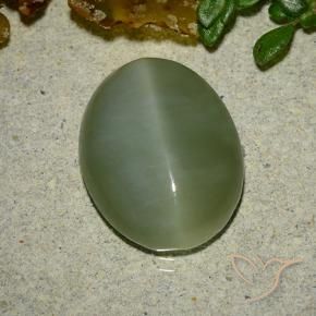 6.48 ct Green Actinolite Cat's Eye Stone, Natural Actinolite Cat's Eye in Oval Cabochon Shape for Sale