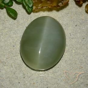 Actinolite Cat's Eye Gemstone in 14.8 x 11.7 mm Size for Sale, Actinolite Cat's Eye Stone in Medium Green Color