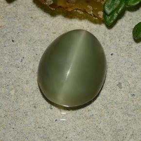 3.59 ct Green Actinolite Cat's Eye Stone, Natural Actinolite Cat's Eye in Oval Cabochon Shape for Sale