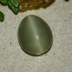 Actinolite Cat's Eye Gemstone in 10.8 x 8.7 mm Size for Sale, Actinolite Cat's Eye Stone in Green Color