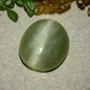 8.75 ct Green Actinolite Cat's Eye Gemstone, Actinolite Cat's Eye Gem in Oval Cabochon Shape for Sale.