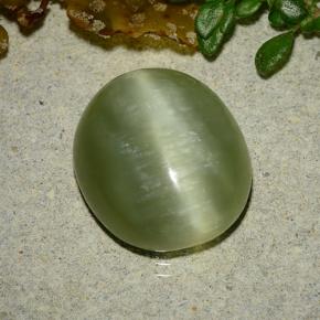 8.75 ct Green Actinolite Cat's Eye Stone, Natural Actinolite Cat's Eye in Oval Cabochon Shape for Sale