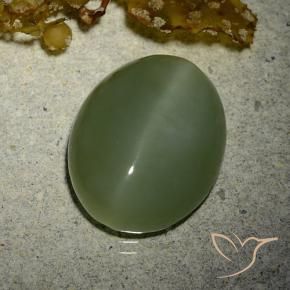 7.01 ct Green Actinolite Cat's Eye Stone, Natural Actinolite Cat's Eye in Oval Cabochon Shape for Sale