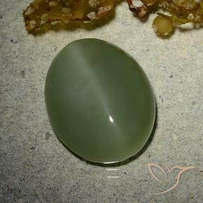 Actinolite Cat's Eye Gemstone in 15 x 11.7 mm Size for Sale, Actinolite Cat's Eye Stone in Army Green Color