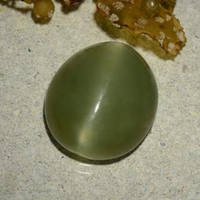 5.70 ct Green Actinolite Cat's Eye Stone, Natural Actinolite Cat's Eye in Oval Cabochon Shape for Sale