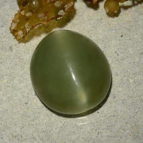 Actinolite Cat's Eye Gemstone in 13.1 x 11.5 mm Size for Sale, Actinolite Cat's Eye Stone in Army Green Color