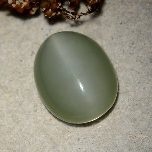 Actinolite œil de chat Vert moyen Ovale 10,66 ct des Etats-Unis, Dimension 16,1 x 12,7mm, Pierre gemme naturelle Non traité, pureté Translucide, 1 pièce Actinolite œil de chat oval cabochon, dureté de Mohs de 5.5 à 6, Photo A