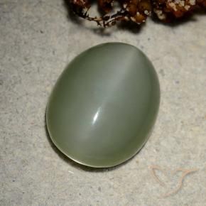 10.66 ct Green Actinolite Cat's Eye Stone, Natural Actinolite Cat's Eye in Oval Cabochon Shape for Sale