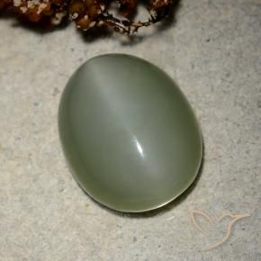 Actinolite Cat's Eye Gemstone in 16.1 x 12.7 mm Size for Sale, Actinolite Cat's Eye Stone in Medium Green Color