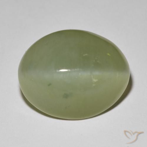 Actinolite œil de chat Vert oval cabochon des Etats-Unis, 17,5 x 14,1mm, poids de 11,42 ct, pierre gemme naturelle Non traité de pureté Translucide, 1 pièce Actinolite œil de chat, couleur Vert grisâtre, dureté Mohs de 5.5 à 6, Photo A