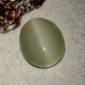 Army Green Actinolite Cat's Eye Gem - 5.8ct Oval Cabochon (ID: 485959)