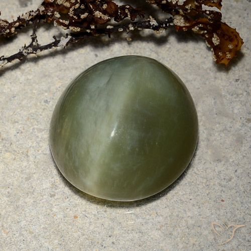 Occhio di gatto ovale in actinolite da 8,89 ct, 14,1 x 13,3 mm dagli Stati Uniti, Photo A