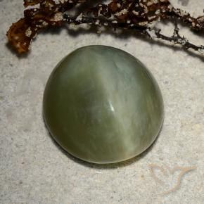 8.89 ct Green Actinolite Cat's Eye Stone, Natural Actinolite Cat's Eye in Oval Cabochon Shape for Sale