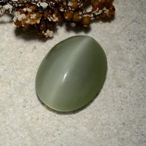 Army Green Актинолит Кошачий Глаз Камень - 4.8ct Овал Кабошон (ID: 485961)