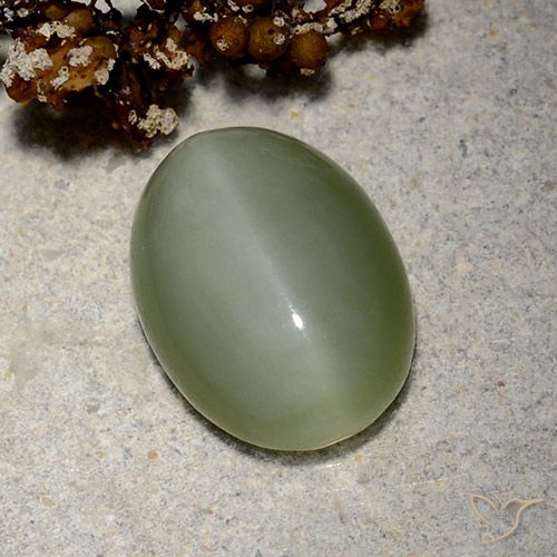 5.19ct Natural Golden Green Actinolite Cat's Eye, Oval, Translucent
