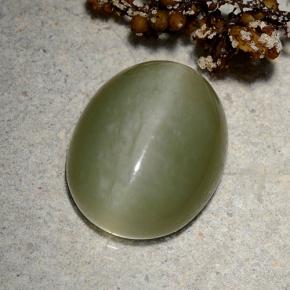 9.06 ct Green Actinolite Cat's Eye Stone, Natural Actinolite Cat's Eye in Oval Cabochon Shape for Sale